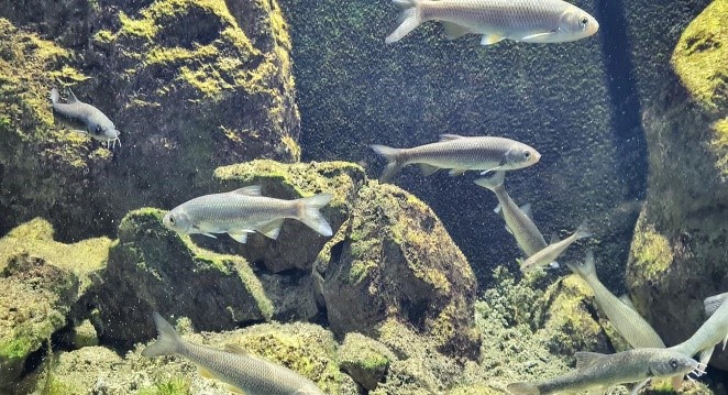 Dijelovi ambijenta Aquatike u Karlovcu